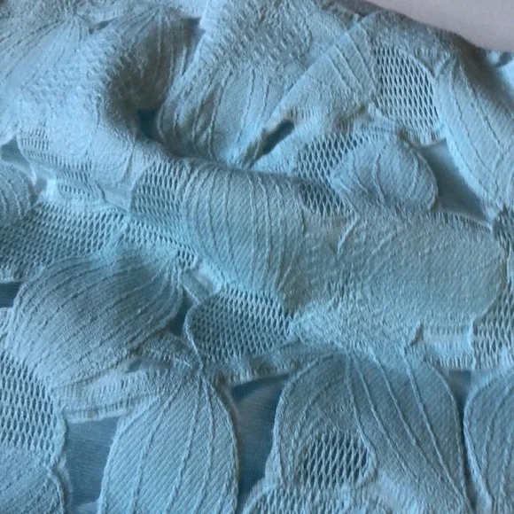 Ted Baker Baby Blue Laureto Fit & Flare Lace Dress Pleated Skirt Net Cut Outs - Picture 6 of 16